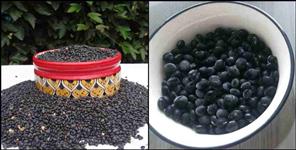 image: Health benefits of pahadi black soyabean