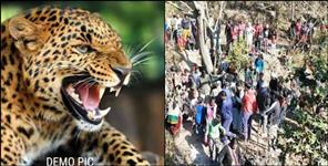 image: Leopard Attack people in Ghartoli village
