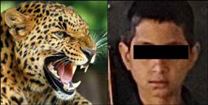 image: Tehri Garhwal Ghansali leopard attack on Arnab