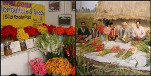 image: Vijay did floriculture in Kashipur