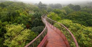 image: Uttarakhand first canopy walkway to be built in Rudraprayag