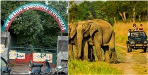 image: Recruitment of 36 Nature Guides For Corbett Heritage Safari