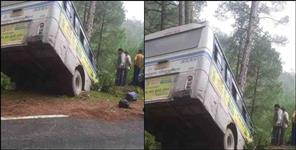 image: 21 lives saved due to pine tree in Uttarkashi