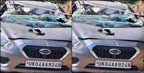 image: Tree fell on food vlogger car in Nainital