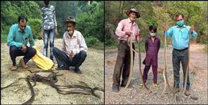 image: Story of Chandrasena the snack catcher of Ramnagar