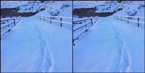 image: Neeti highway closed at indo-china border due to heavy snowfall
