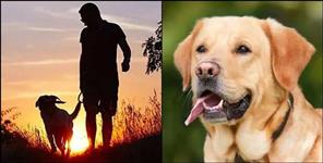 image: Owner killed pet dog in Haldwani