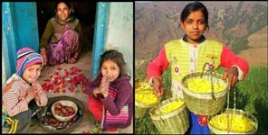 image: Phulari festival will be celebrated in all the schools of Garhwal