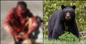 image: Fear of bears in Harmony village of Chamoli district