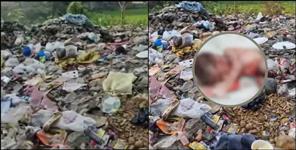 image: Newborn fetus found in garbage