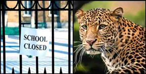 image: School closed in Tehri Garhwal leopard fear