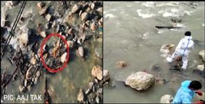 image: Video of Kedarghat of Uttarkashi goes viral