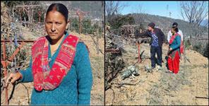 image: Sita devi became kiwi queen by cultivating this fruits