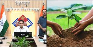 Plantation campaign will start from Environment Day