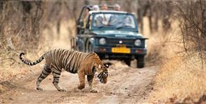 image: Coronavirus uttarakhand rajaji tiger reserve seal