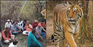 image: Tiger attack on retired teacher Ranbir Singh Negi in Pauri Garhwal