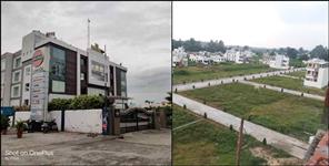 image: Dehradun tea garden land buying and selling banned