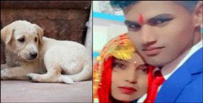 image: Udham singh nagar husband bring puppy to home wife suicide
