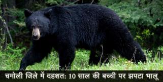 image: Chamoli district bear attack on child