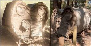 image: Mysterious hut found in dense forest
