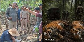 image: Two tigers brutally killed by poachers in Uttarakhand
