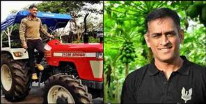 image: Mahendra Singh Dhoni Eja Farm