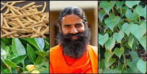 image: Baba ramdev claims that giloy and ashwagandha can treat coronavirus