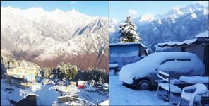 image: Snowfall in Auli Advance Booking for New Year Christmas