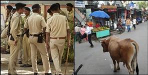 image: bull ran after the police personnel in Bageshwar