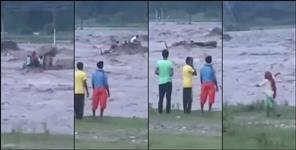 image: 8 died as tractor-trolley overturned while crossing the river