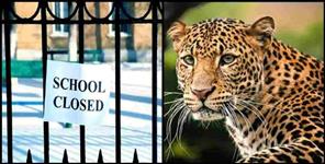 image: Leopard fear in Pauri Garhwal school closed till June 10