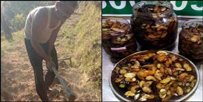 image: Story of almora mulyadhaar harish bahuguna