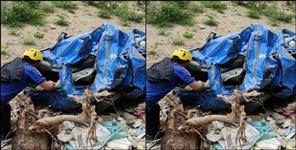 image: Car fell into a deep gorge in Almora