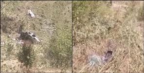 image: Two people died in Nainital road accident