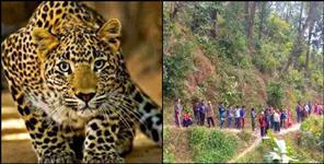 image: Leopard attacks jayanti devi in pauri garhwal