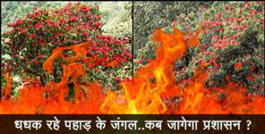 image: forest fire in uttarakhand