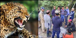 image: Leopard attack on Naveen Rawat of Tehri Garhwal Akhodi village
