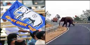 image: Elephants run after BSP workers in Uttarakhand