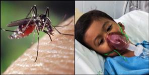 image: falciparum virus in Uttarakhand know Symptoms and prevention