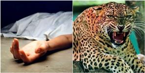 image: Leopard took away girl playing with relatives at home