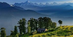 image: Himalayan biodiversity are in deep crisis