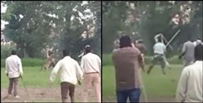 image: Video of Leopard in Dehradun Doiwala