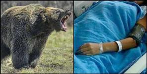 image: Bear attacked woman in Pauri Garhwal
