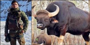 Uttarakhand Soldier Dies in Bison Attack in Pachmarhi