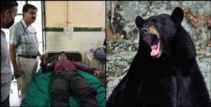 image: Bear attack teacher beem singh rawat tharali chamoli