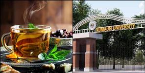 image: Kumaun University did research on herbal tea