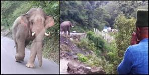 image: When colonal ajay kothiyal met Elephant