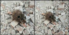 image: Male skeleton found in Kotdwar