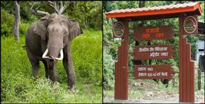 image: FOREST DEPARTMENT BHARTI IN HARIDWAR