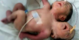 image: Mistry baby boy in uttarakhand kashipur
